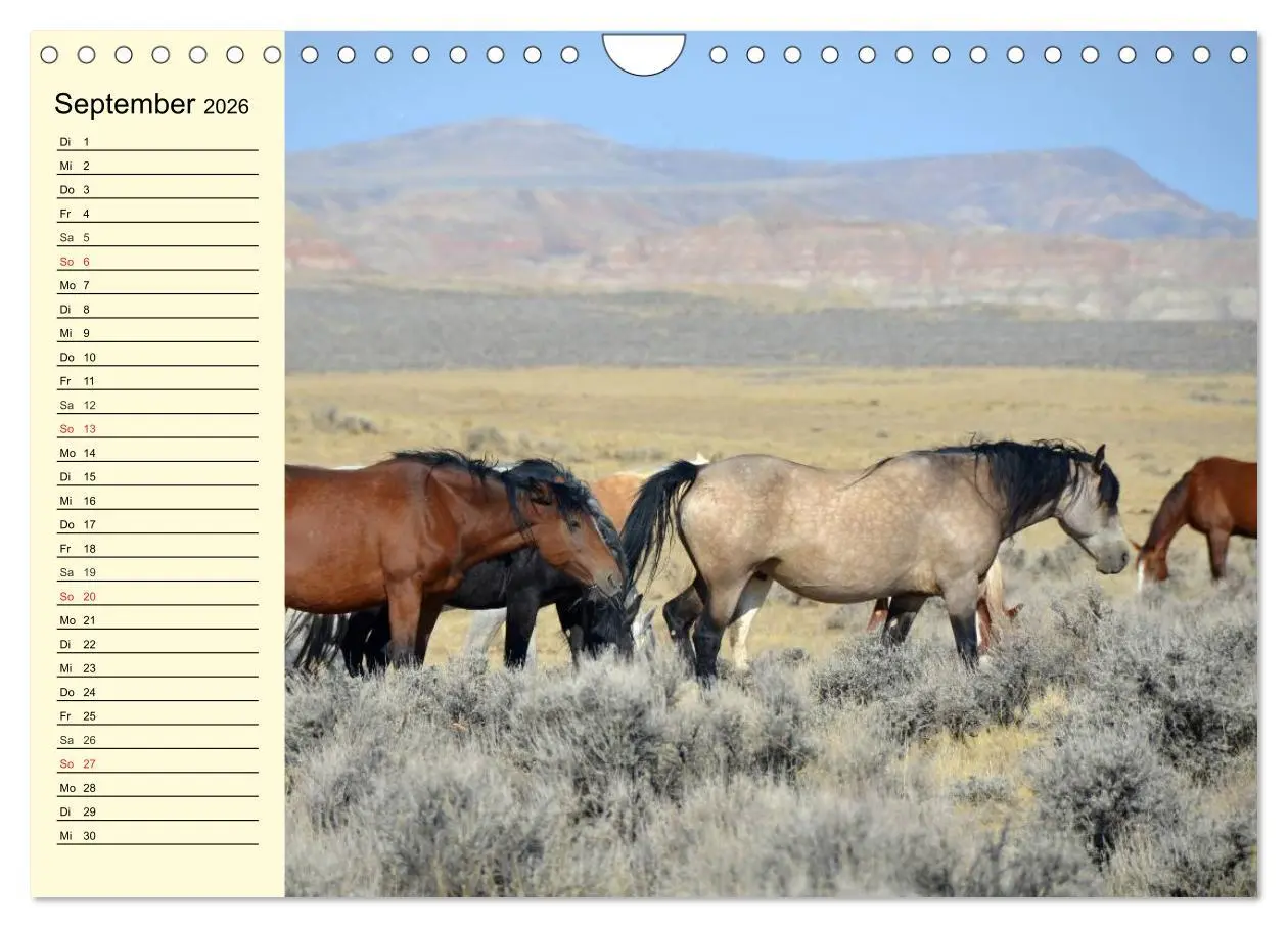 Bild: 9783457996881 | Wilde Pferde. Mustangs in USA (Wandkalender 2026 DIN A4 quer),...