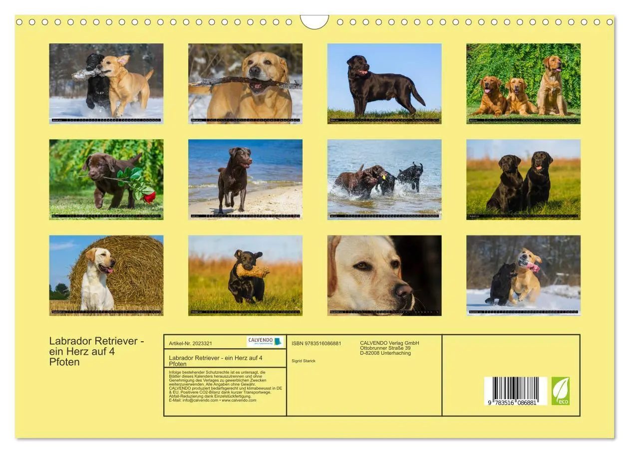 Bild: 9783516086881 | Labrador Retriever - ein Herz auf 4 Pfoten (Wandkalender 2026 DIN...