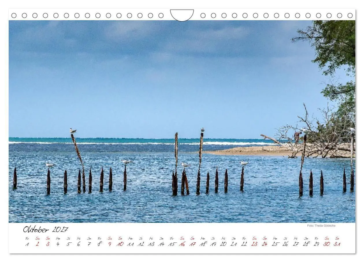 Bild: 9783569796881 | Natur pur, Costa Rica (Wandkalender 2027 DIN A4 quer), CALVENDO...