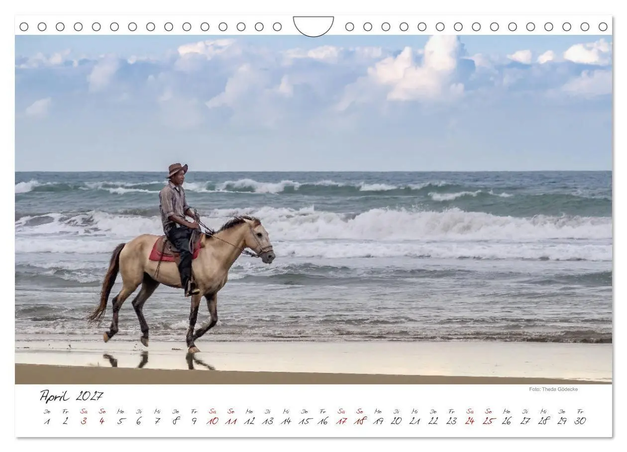 Bild: 9783569796881 | Natur pur, Costa Rica (Wandkalender 2027 DIN A4 quer), CALVENDO...
