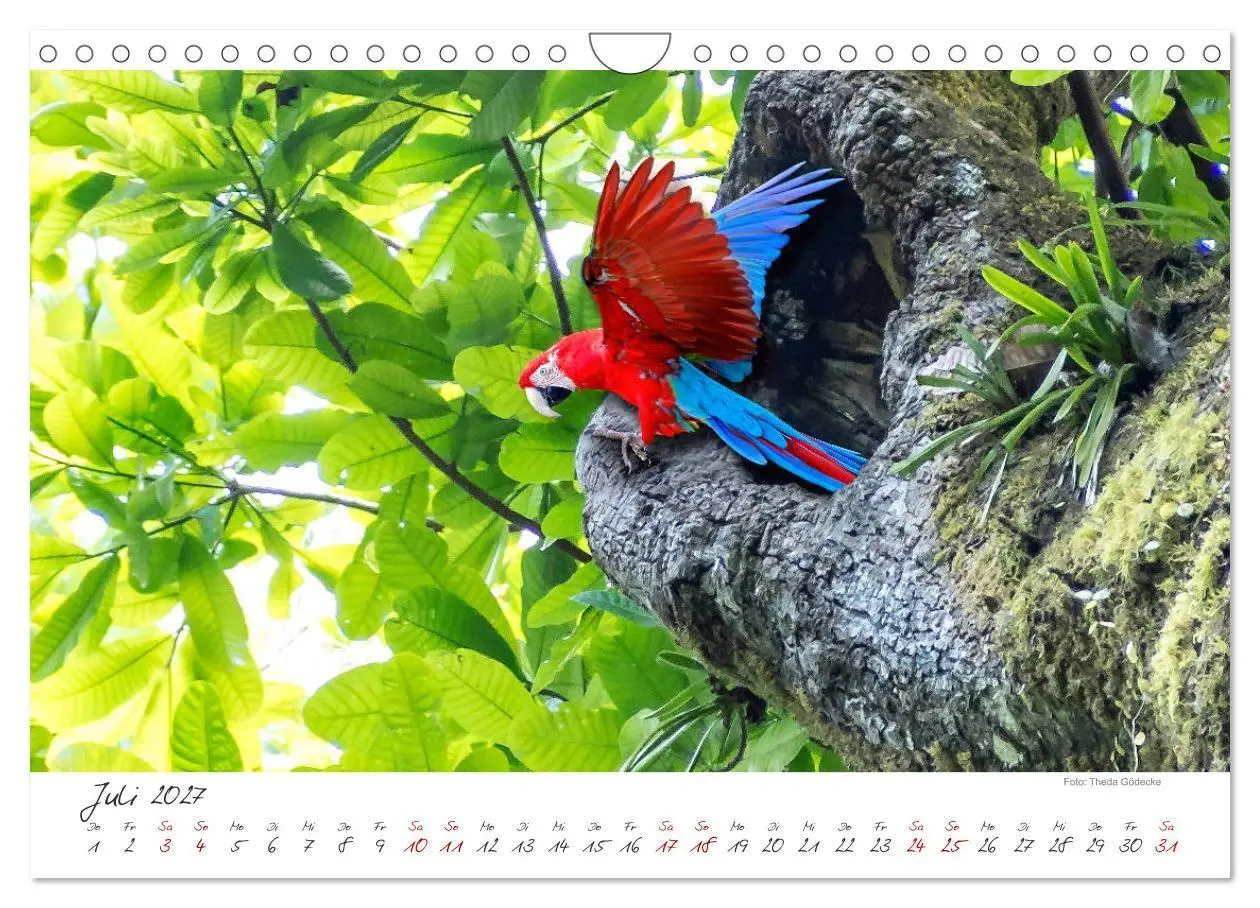 Bild: 9783569796881 | Natur pur, Costa Rica (Wandkalender 2027 DIN A4 quer), CALVENDO...