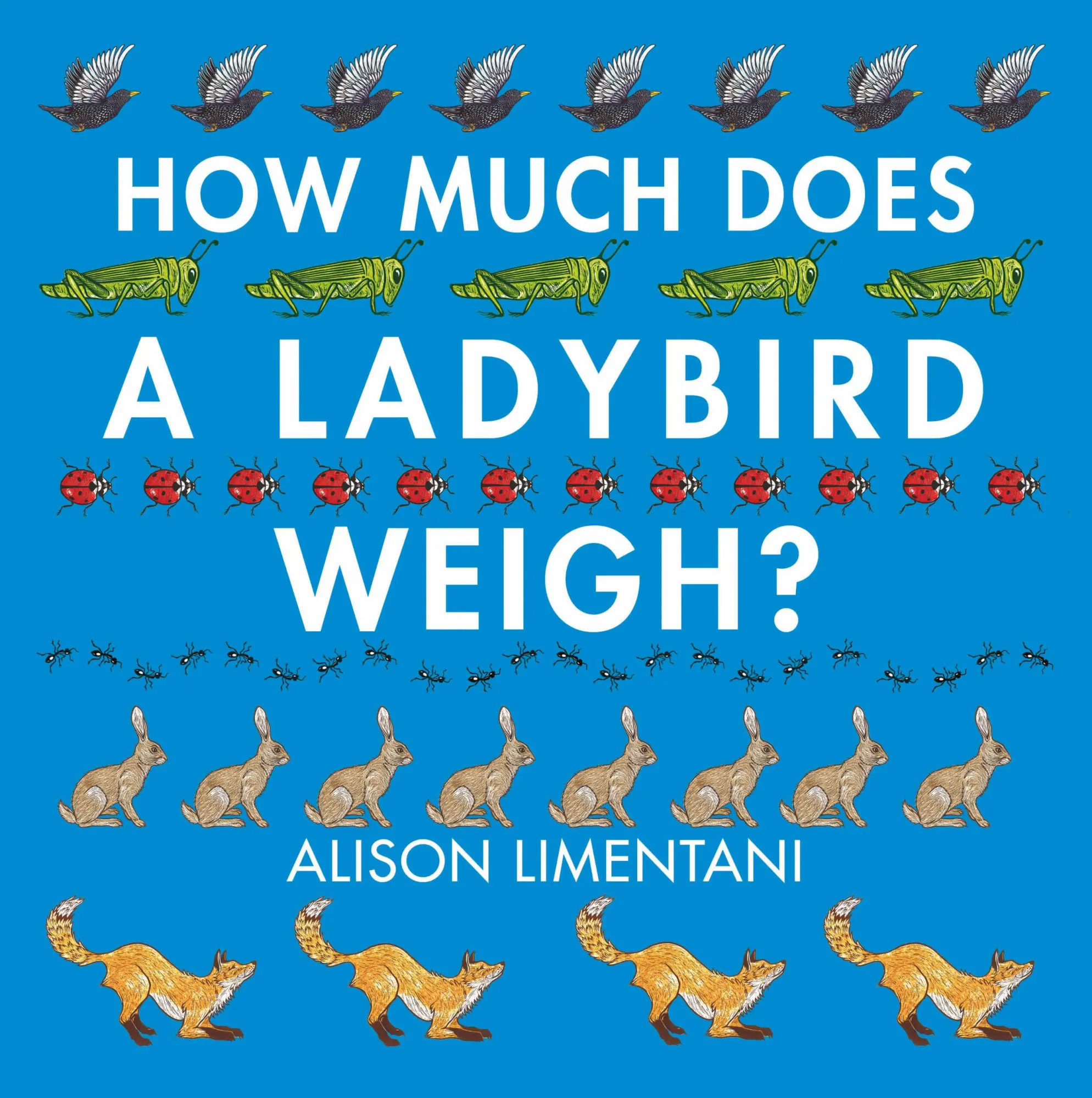 Cover: 9781910126981 | How Much Does a Ladybird Weigh? | Alison Limentani | Taschenbuch