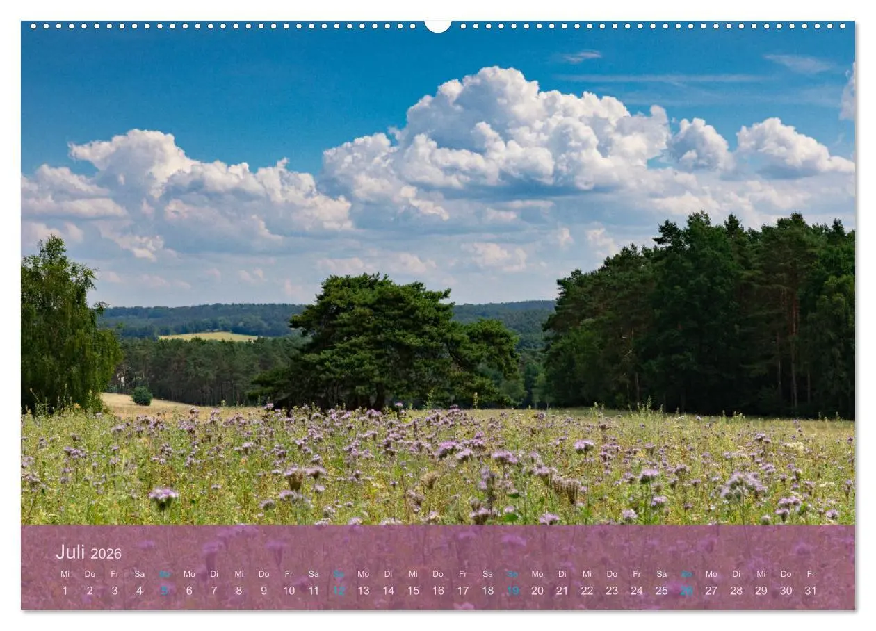 Bild: 9783457436981 | Naturschutzgebiet Lüneburger Heide (hochwertiger Premium...