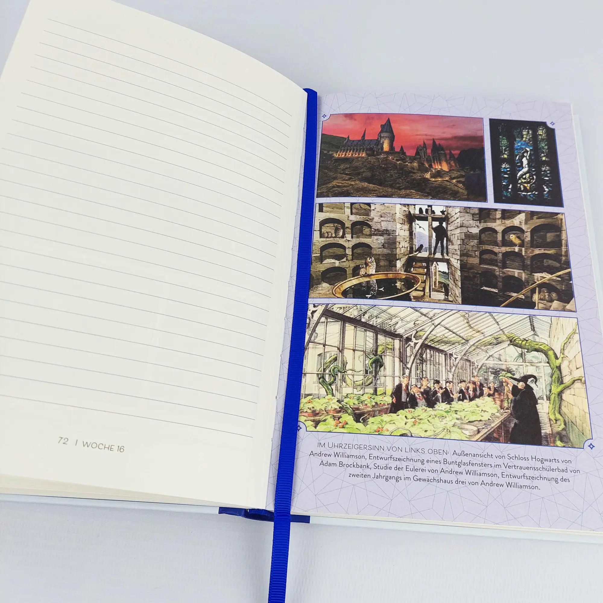Bild: 9783742316981 | Harry Potter: Klug wie ein Ravenclaw | Wizarding World | Buch | 224 S.