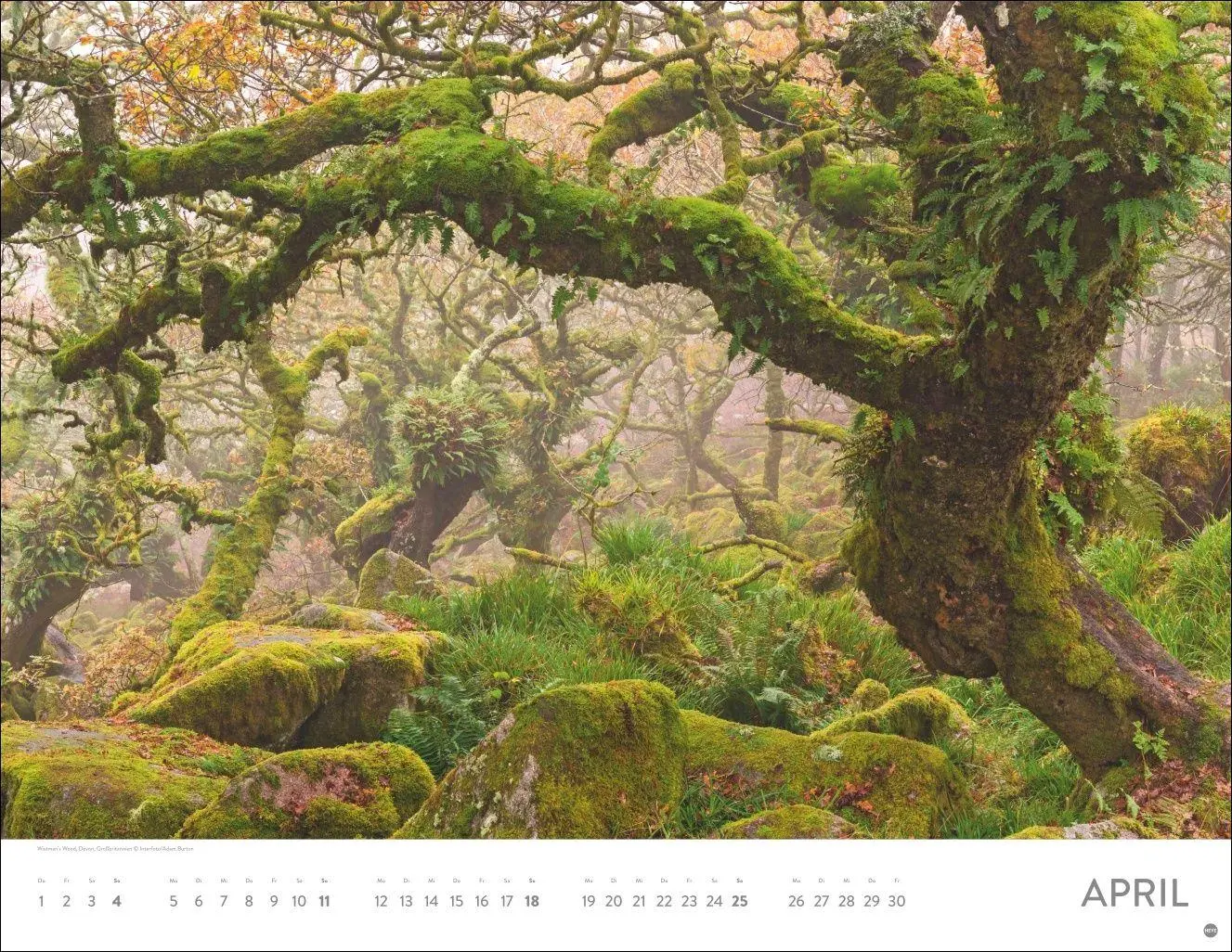 Bild: 9783756416981 | Orte der Kraft Posterkalender 2027 | Kalender | 14 S. | Deutsch | 2027
