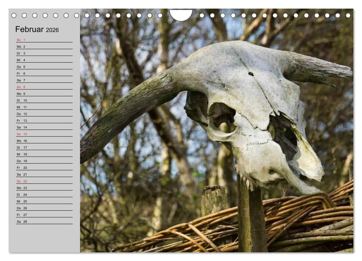 Bild: 9783457947081 | Dänemark - Umgebung von Hvide Sande (Wandkalender 2026 DIN A4...