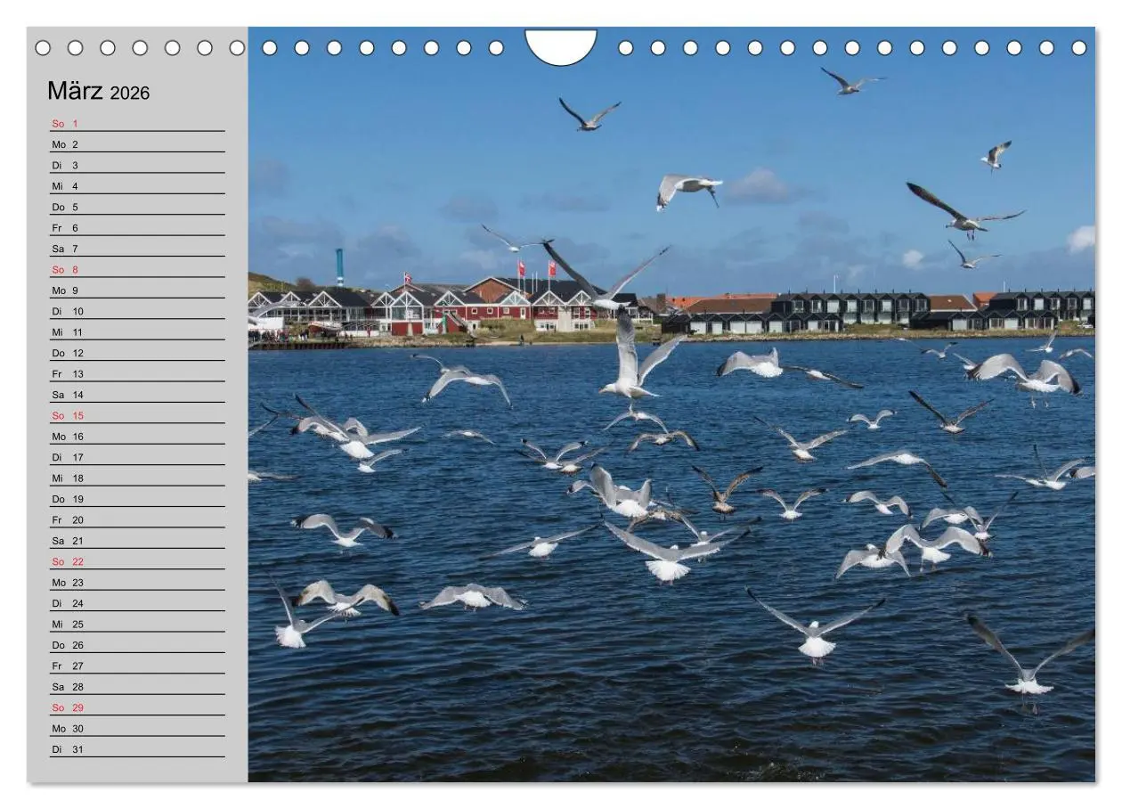 Bild: 9783457947081 | Dänemark - Umgebung von Hvide Sande (Wandkalender 2026 DIN A4...
