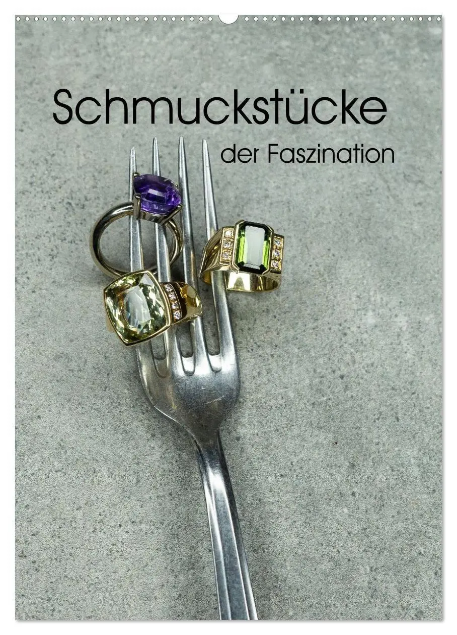 Cover: 9783516657081 | Schmuckstücke der Faszination (Wandkalender 2026 DIN A2 hoch),...