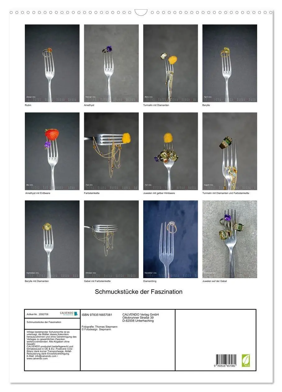 Bild: 9783516657081 | Schmuckstücke der Faszination (Wandkalender 2026 DIN A2 hoch),...