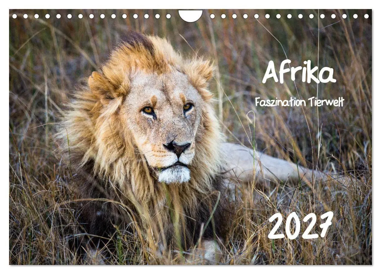 Cover: 9783569817081 | Afrika - Faszination Tierwelt (Wandkalender 2027 DIN A4 quer),...
