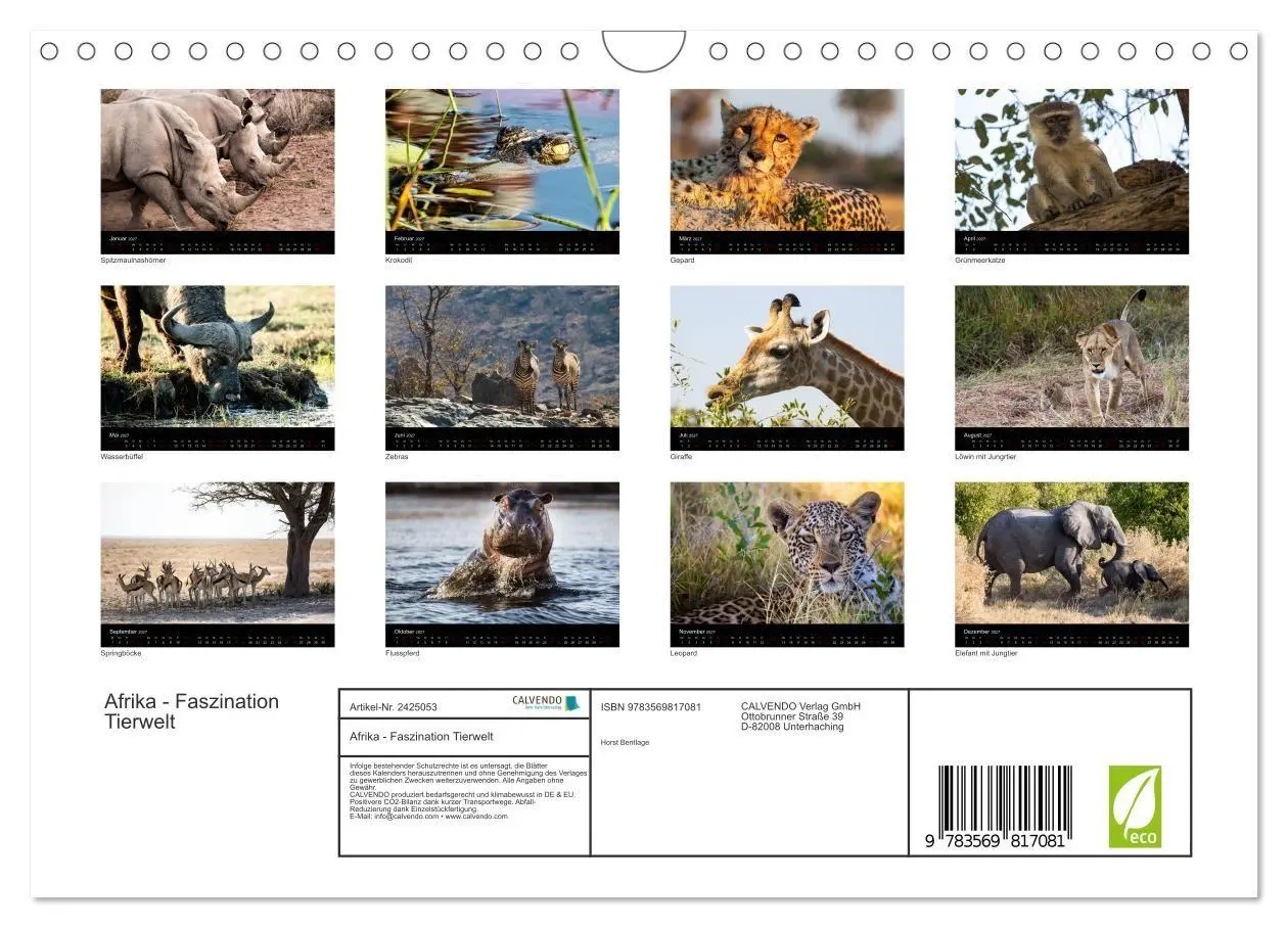 Bild: 9783569817081 | Afrika - Faszination Tierwelt (Wandkalender 2027 DIN A4 quer),...