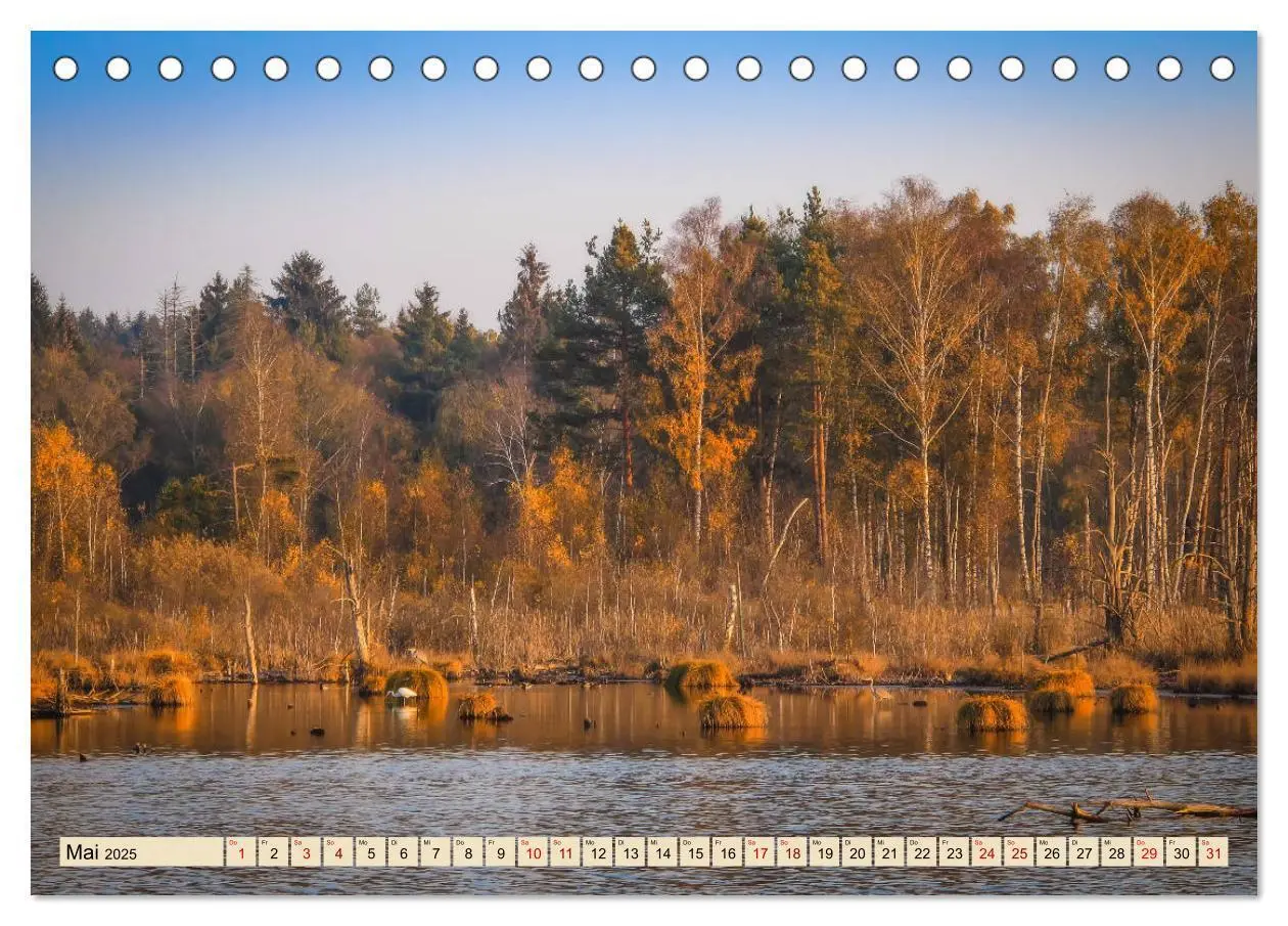 Bild: 9783435227181 | Herbst im Schwenninger Moos (Tischkalender 2025 DIN A5 quer),...