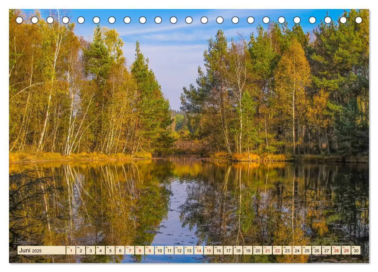 Bild: 9783435227181 | Herbst im Schwenninger Moos (Tischkalender 2025 DIN A5 quer),...