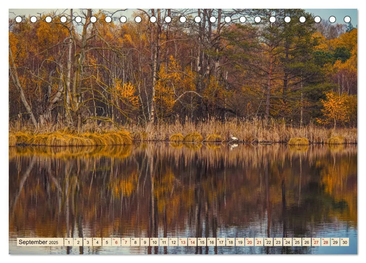 Bild: 9783435227181 | Herbst im Schwenninger Moos (Tischkalender 2025 DIN A5 quer),...