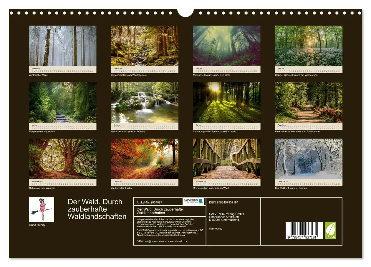 Bild: 9783457937181 | Der Wald. Durch zauberhafte Waldlandschaften (Wandkalender 2026 DIN...