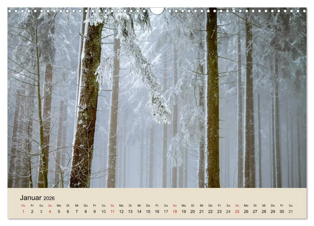 Bild: 9783457937181 | Der Wald. Durch zauberhafte Waldlandschaften (Wandkalender 2026 DIN...