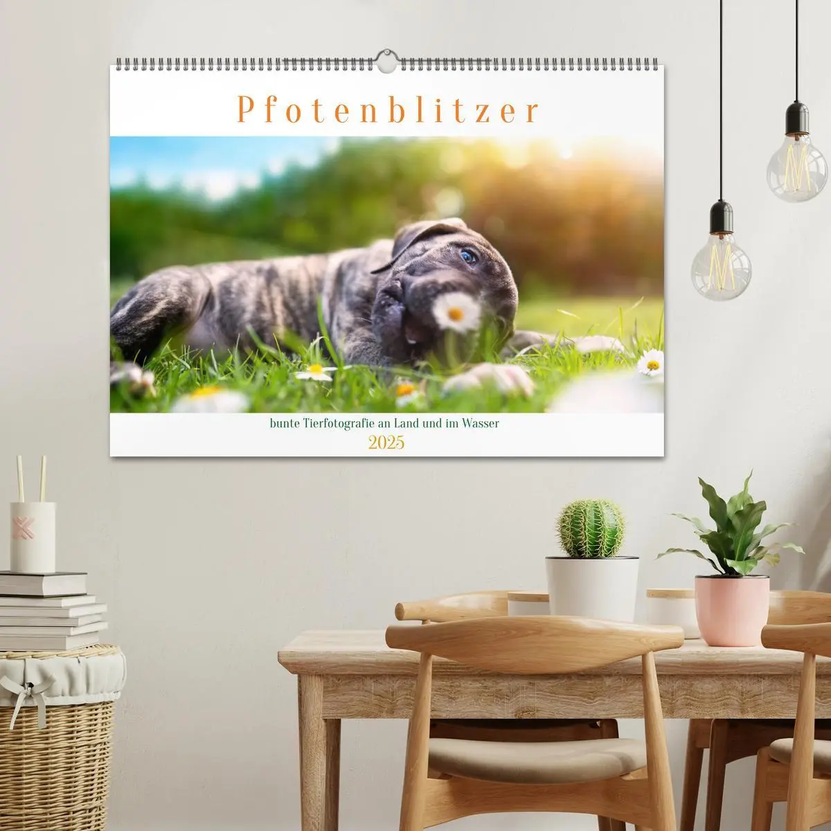 Bild: 9783457167281 | Pfotenblitzer bunte Tierfotografie an Land und im Wasser...
