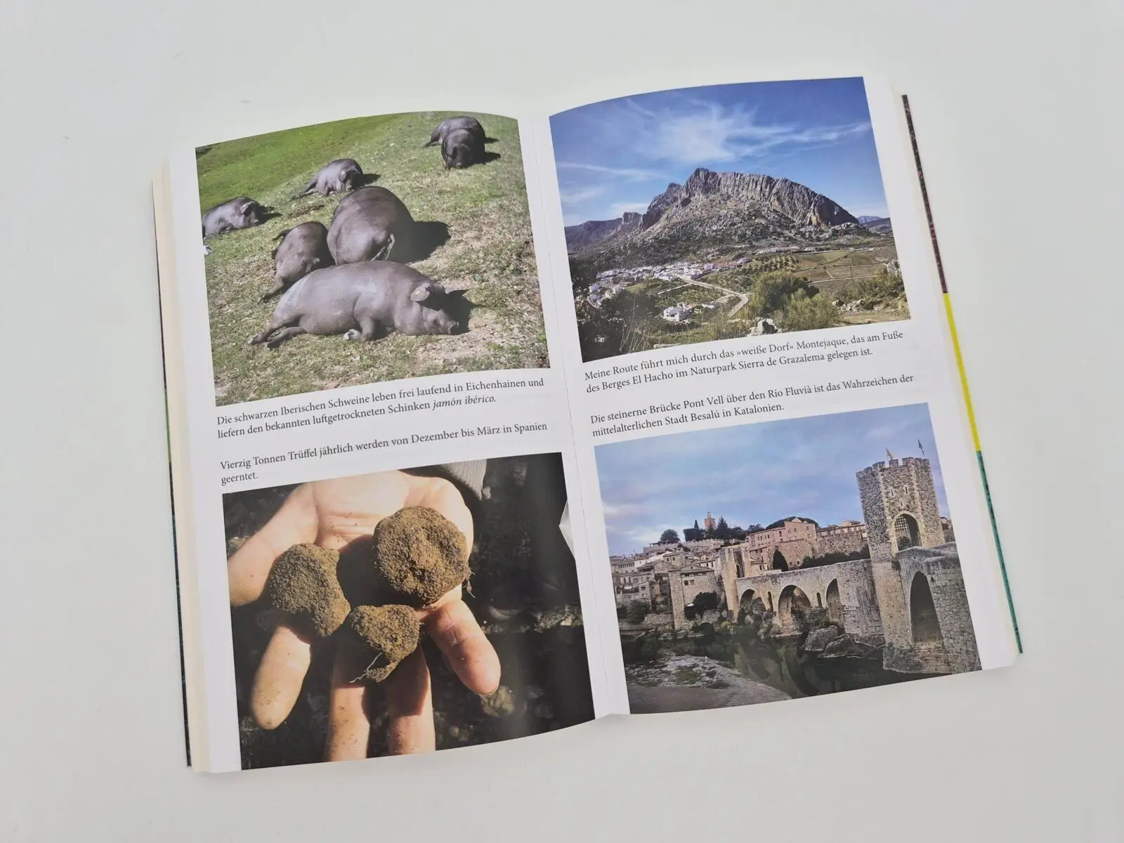 Bild: 9783492407281 | Wandern. Radeln. Paddeln. | Christine Thürmer | Taschenbuch | 304 S.