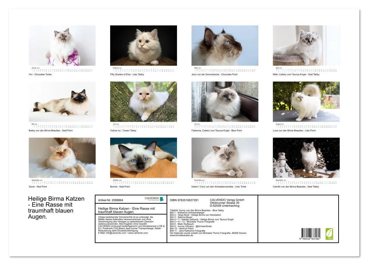 Bild: 9783516637281 | Heilige Birma Katzen - Eine Rasse mit traumhaft blauen Augen....