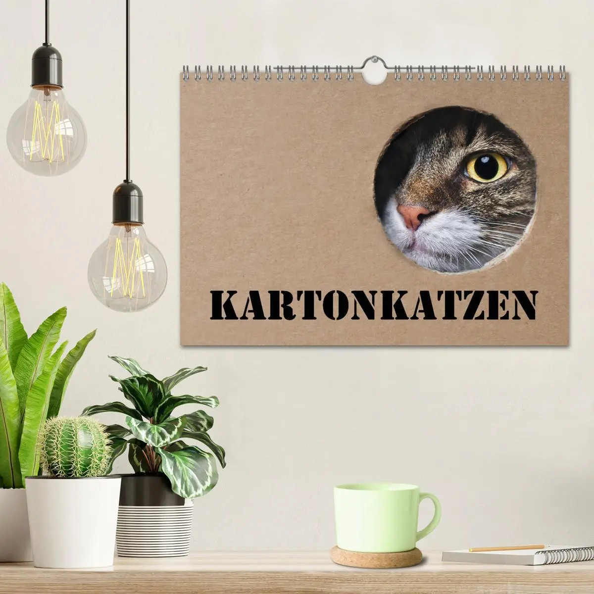 Bild: 9783457777381 | Karton Katzen (Wandkalender 2026 DIN A4 quer), CALVENDO Monatskalender