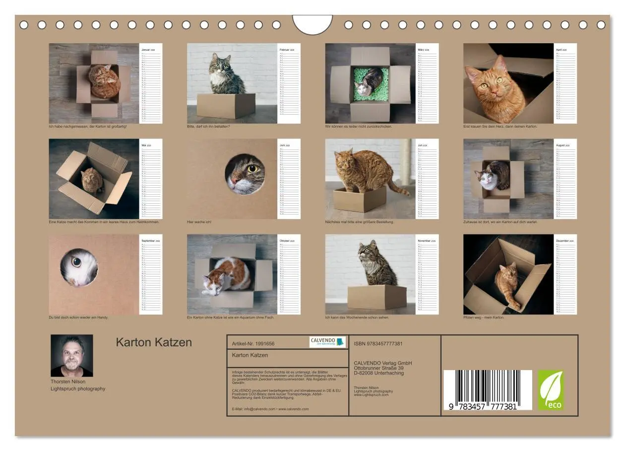 Bild: 9783457777381 | Karton Katzen (Wandkalender 2026 DIN A4 quer), CALVENDO Monatskalender