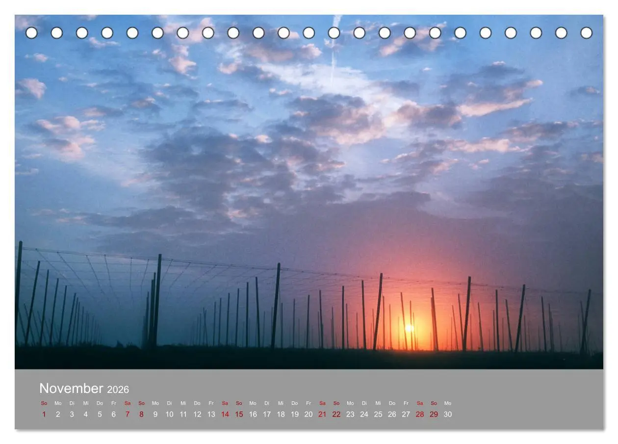 Bild: 9783457917381 | Hallertau (Tischkalender 2026 DIN A5 quer), CALVENDO Monatskalender