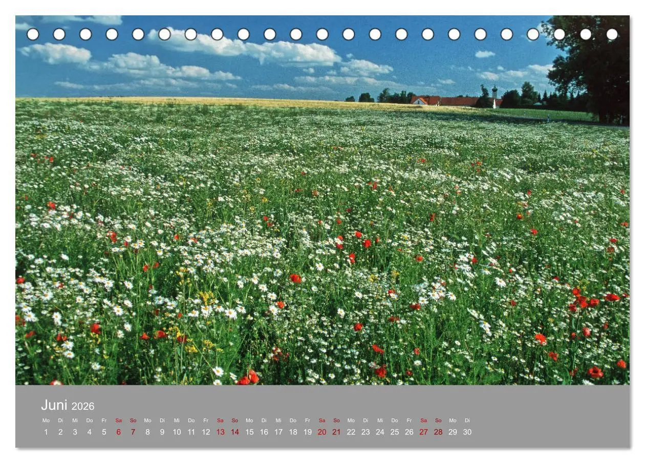 Bild: 9783457917381 | Hallertau (Tischkalender 2026 DIN A5 quer), CALVENDO Monatskalender