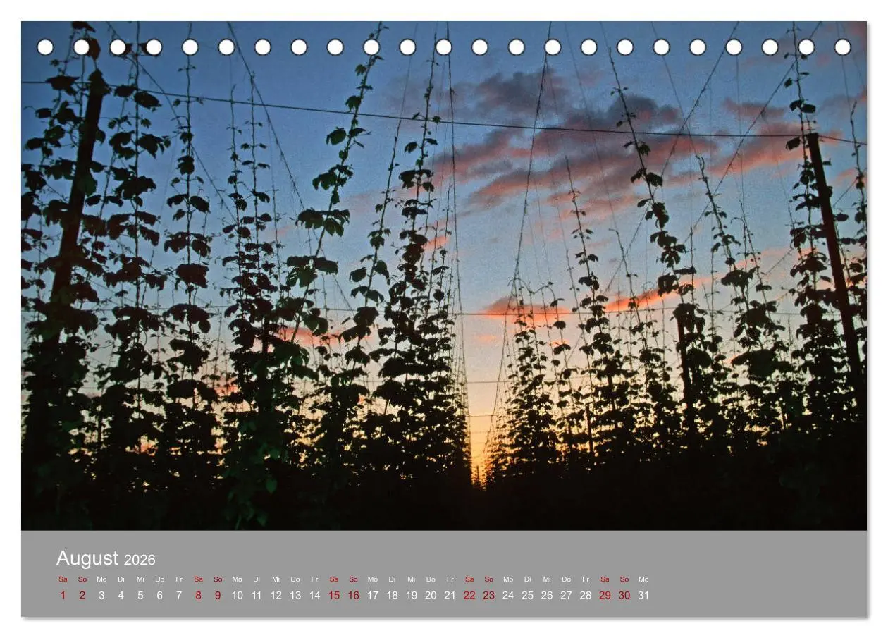 Bild: 9783457917381 | Hallertau (Tischkalender 2026 DIN A5 quer), CALVENDO Monatskalender
