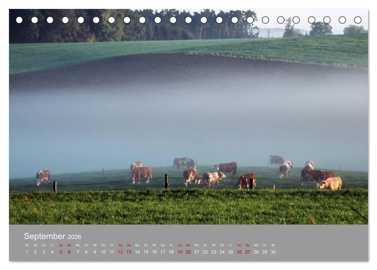 Bild: 9783457917381 | Hallertau (Tischkalender 2026 DIN A5 quer), CALVENDO Monatskalender