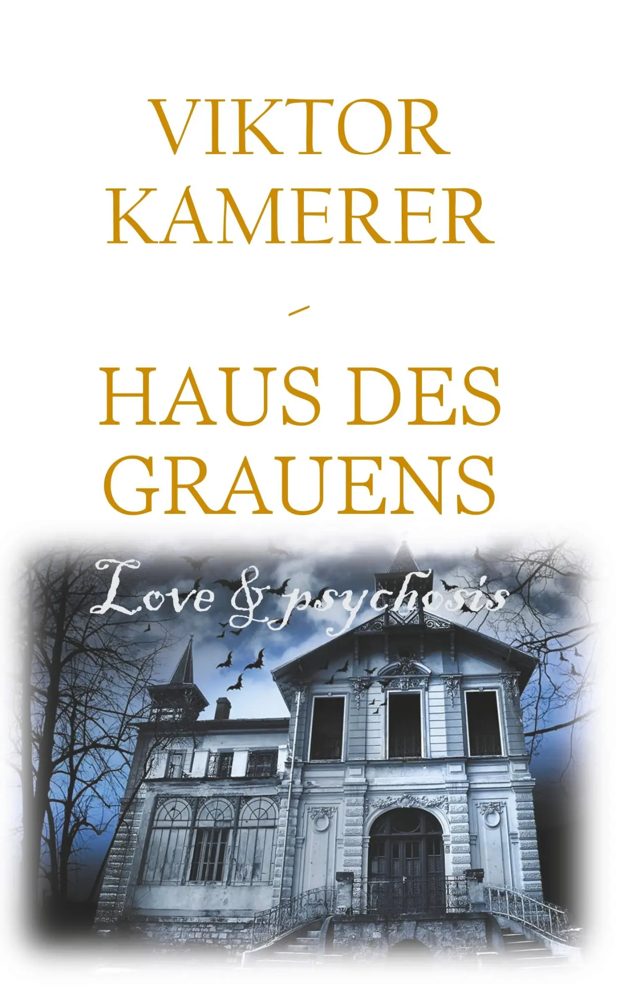 Cover: 9783740747381 | Love and psychosis | Haus des Grauens | Viktor Kamerer | Taschenbuch