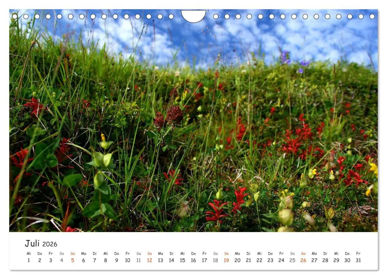 Bild: 9783516097481 | Nordnorwegen im Licht (Wandkalender 2026 DIN A4 quer), CALVENDO...