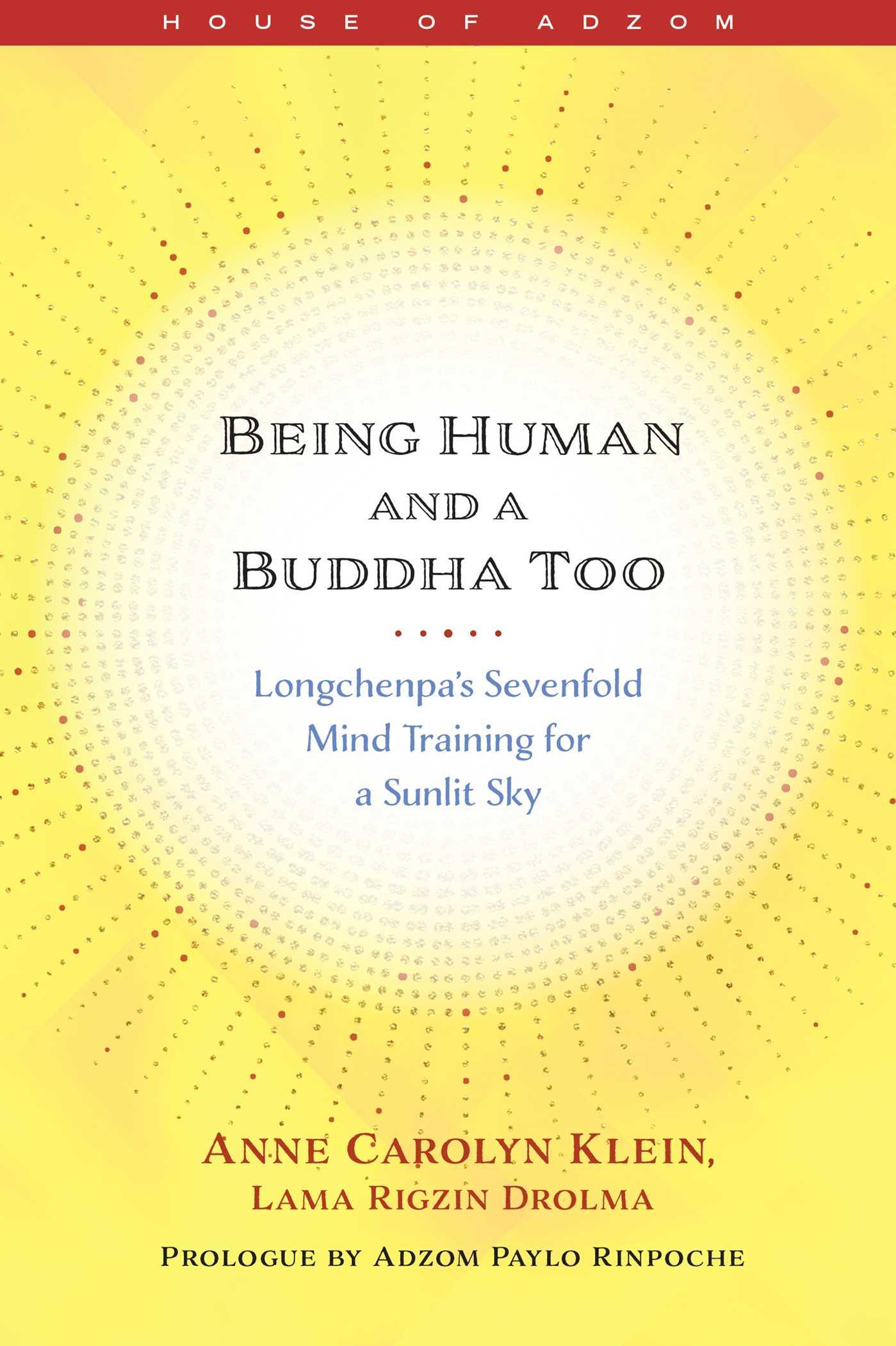 Cover: 9781614297581 | Being Human and a Buddha Too | Anne Klein | Taschenbuch | Englisch