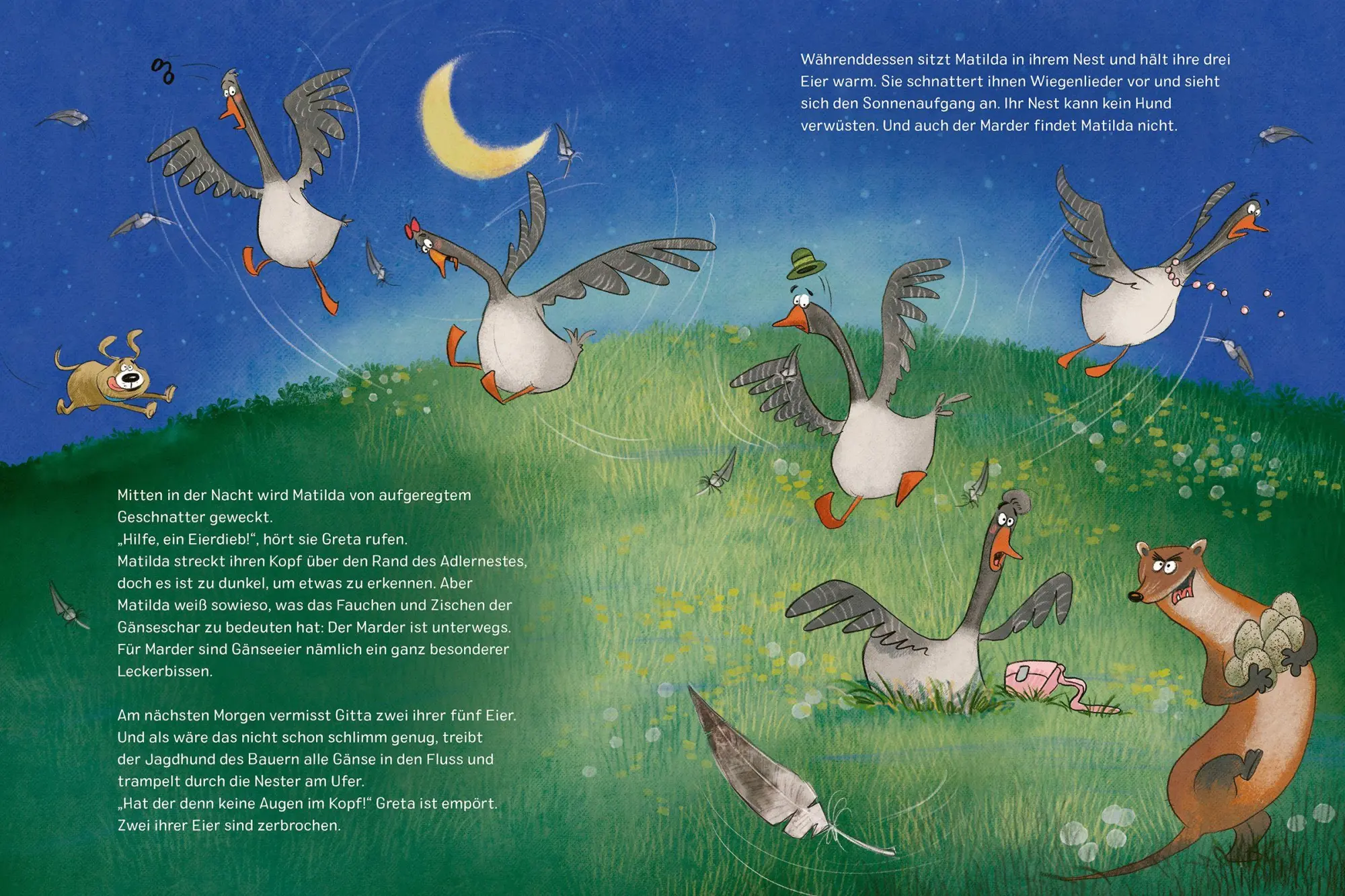 Bild: 9783451717581 | Matilda | Von der Liebe und Klugheit einer Gans | Beate Teresa Hanika