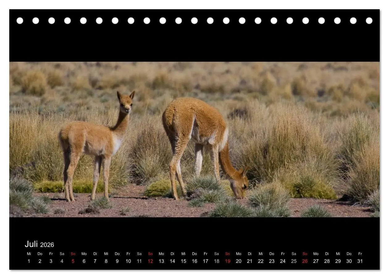 Bild: 9783516157581 | Peru &amp; Bolivien - Land der Inka (Tischkalender 2026 DIN A5 quer),...
