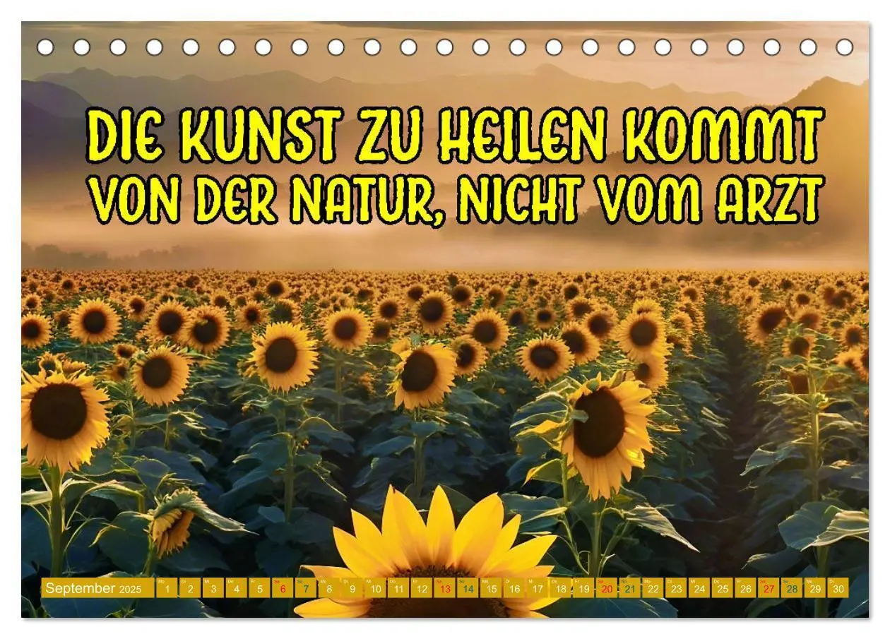 Bild: 9783457127681 | Gute Besserung - mit coolen Sprüchen (Tischkalender 2025 DIN A5...