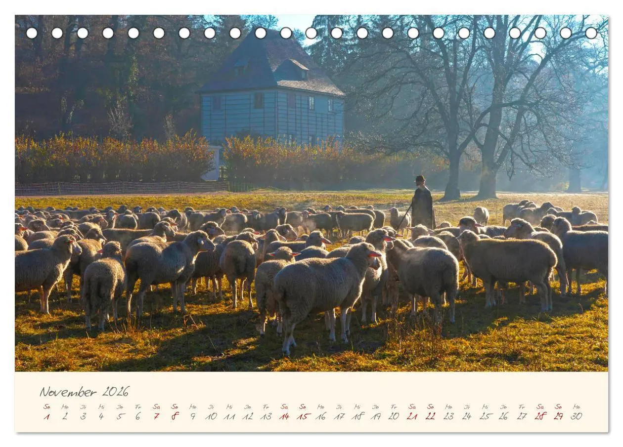 Bild: 9783457677681 | Weimar Die europäische Kulturstadt (Tischkalender 2026 DIN A5...