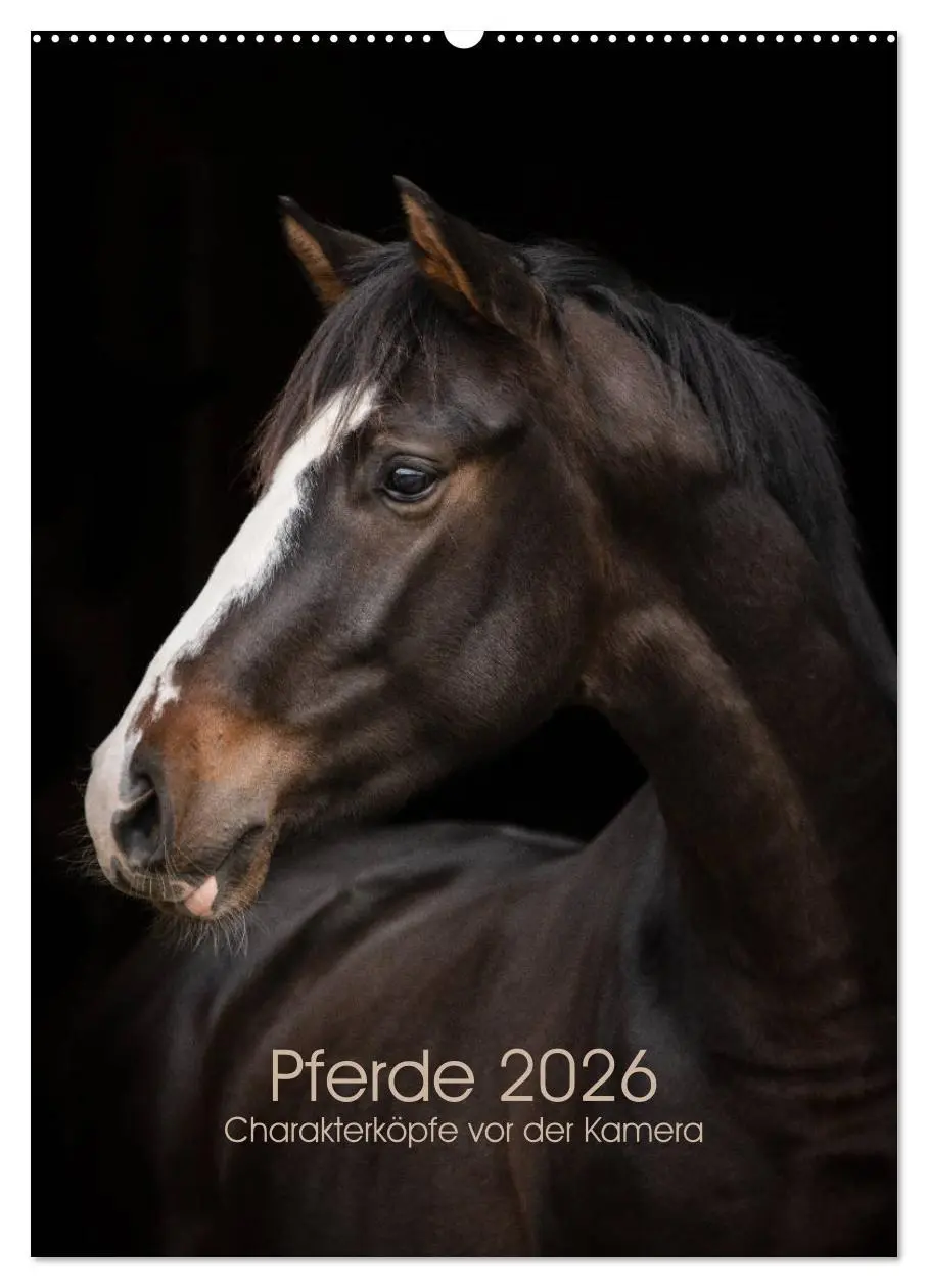 Cover: 9783516387681 | Pferde 2026 - Charakterköpfe vor der Kamera (Wandkalender 2026 DIN...
