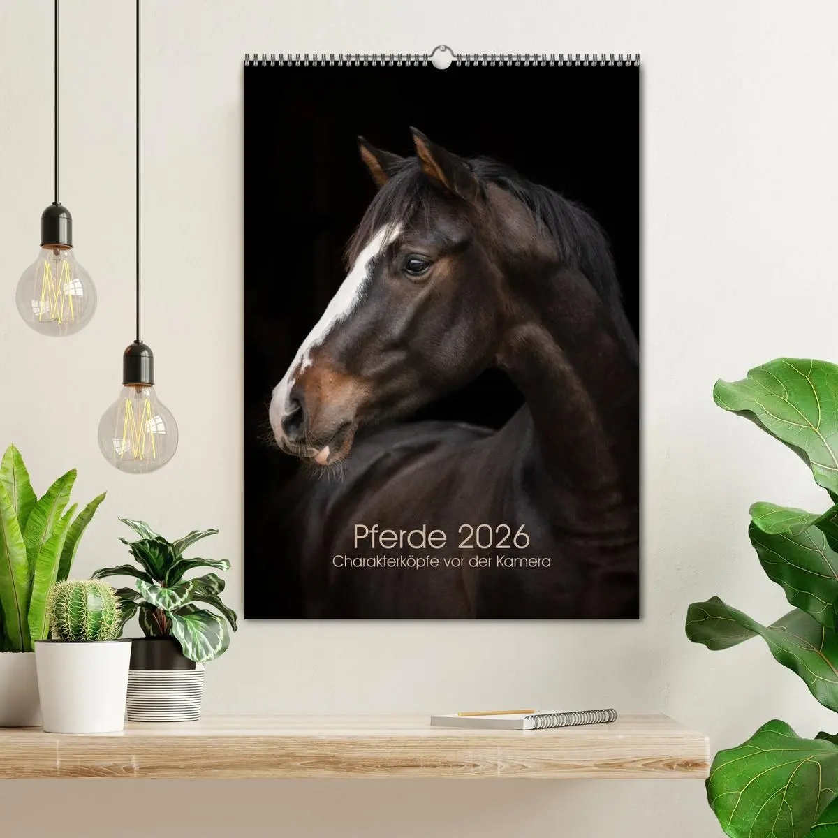 Bild: 9783516387681 | Pferde 2026 - Charakterköpfe vor der Kamera (Wandkalender 2026 DIN...