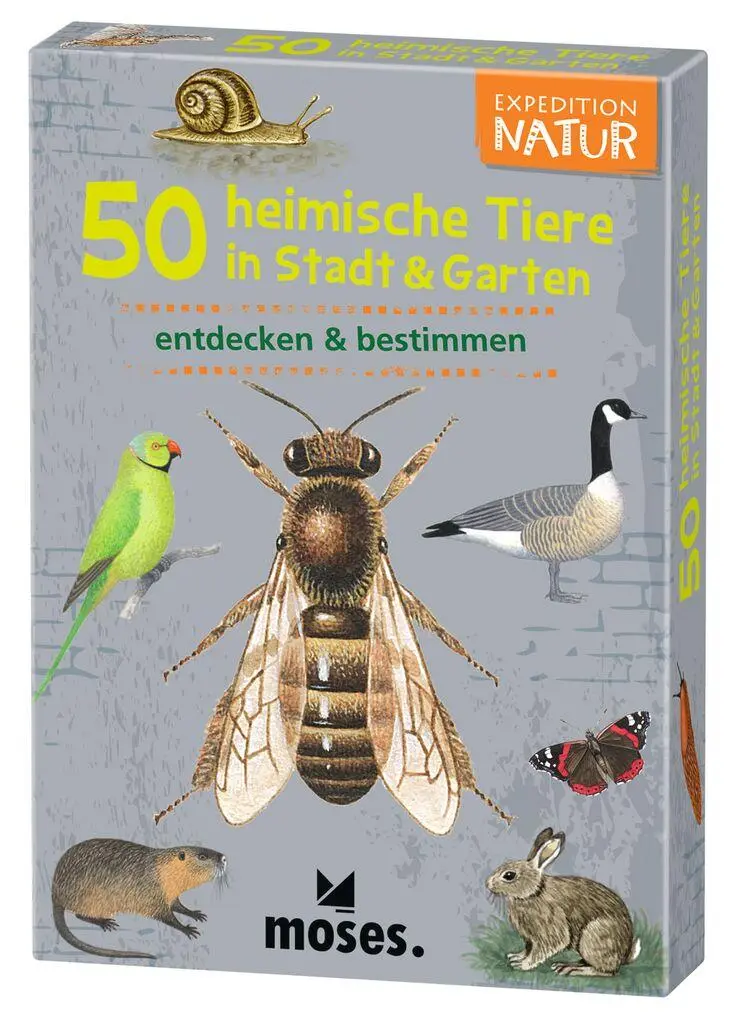 Cover: 4033477097781 | Expedition Natur. 50 heimische Tiere in Stadt &amp; Garten | Kessel | 9778