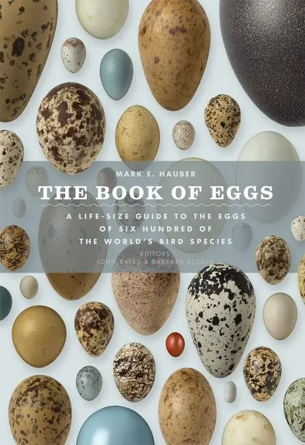 Cover: 9780226057781 | The Book of Eggs | Mark E Hauber | Buch | Gebunden | Englisch | 2014