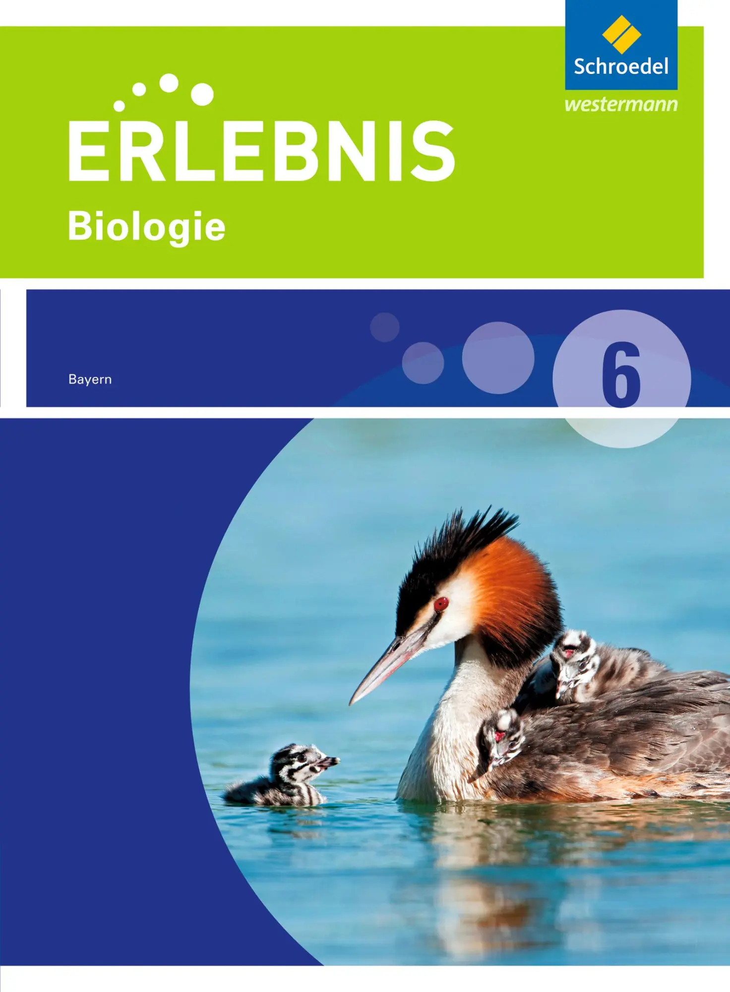Cover: 9783507777781 | Erlebnis Biologie 6. Schulbuch. Realschule. Bayern | Ausgabe 2016
