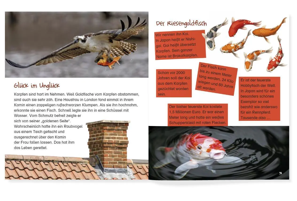 Bild: 9783951987781 | Kaiser Ping und der goldene Fisch | Josephine Bienath (u. a.) | Buch