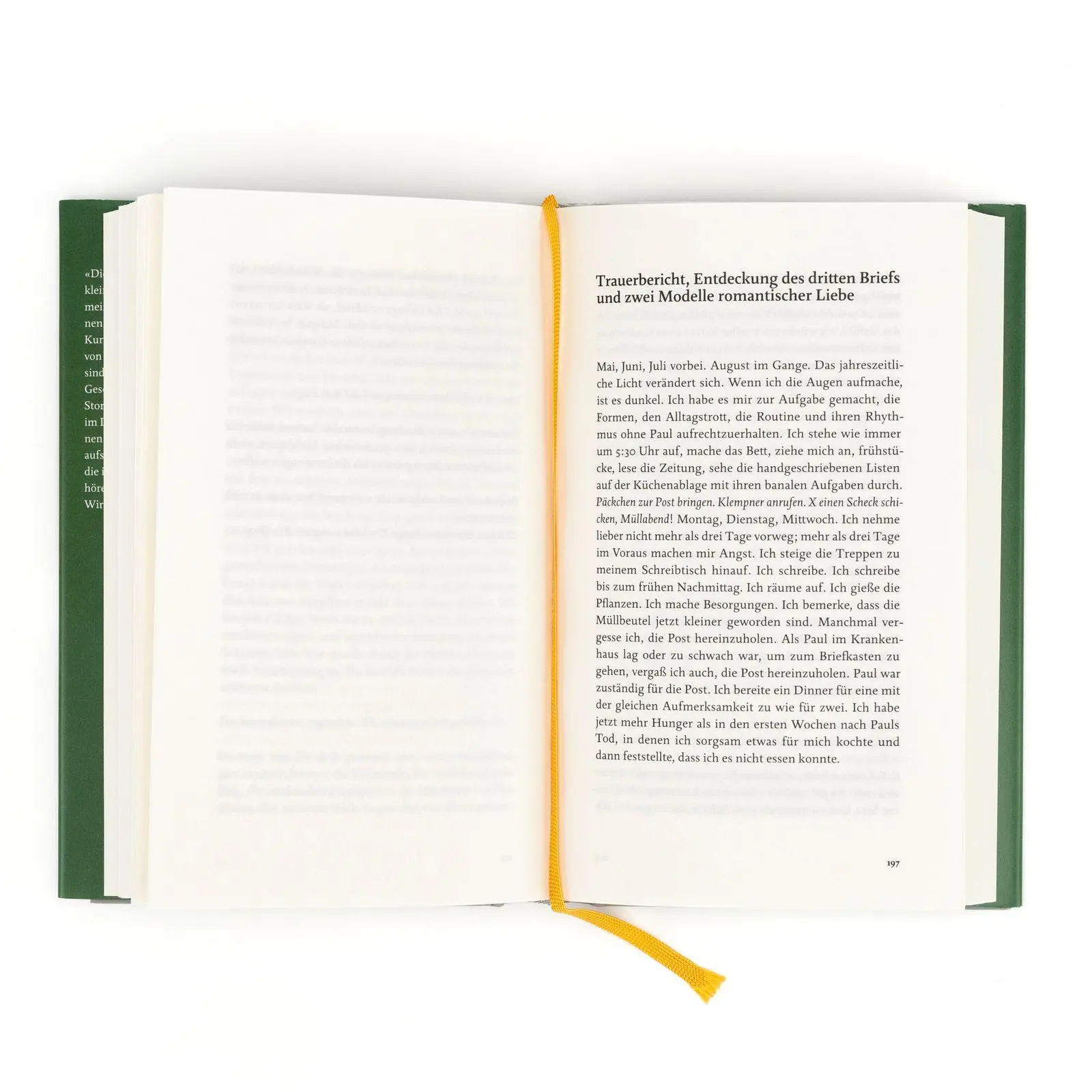 Bild: 9783498007881 | Ghost Stories | Siri Hustvedt | Buch | 400 S. | Deutsch | 2026
