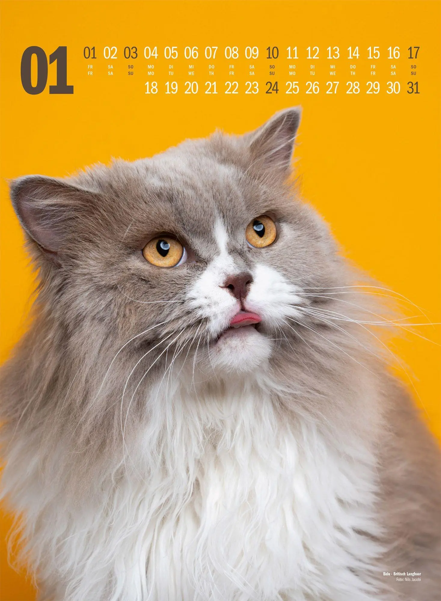 Bild: 9783838427881 | Catography Katzen-Kalender 2027 | Nils Jacobi (u. a.) | Kalender