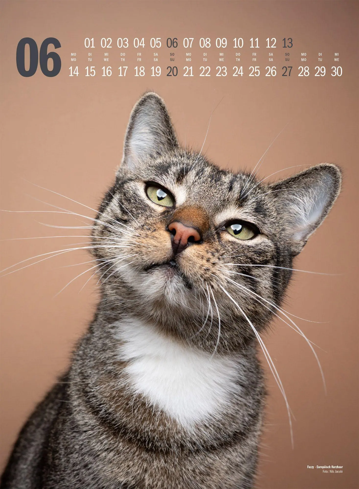 Bild: 9783838427881 | Catography Katzen-Kalender 2027 | Nils Jacobi (u. a.) | Kalender