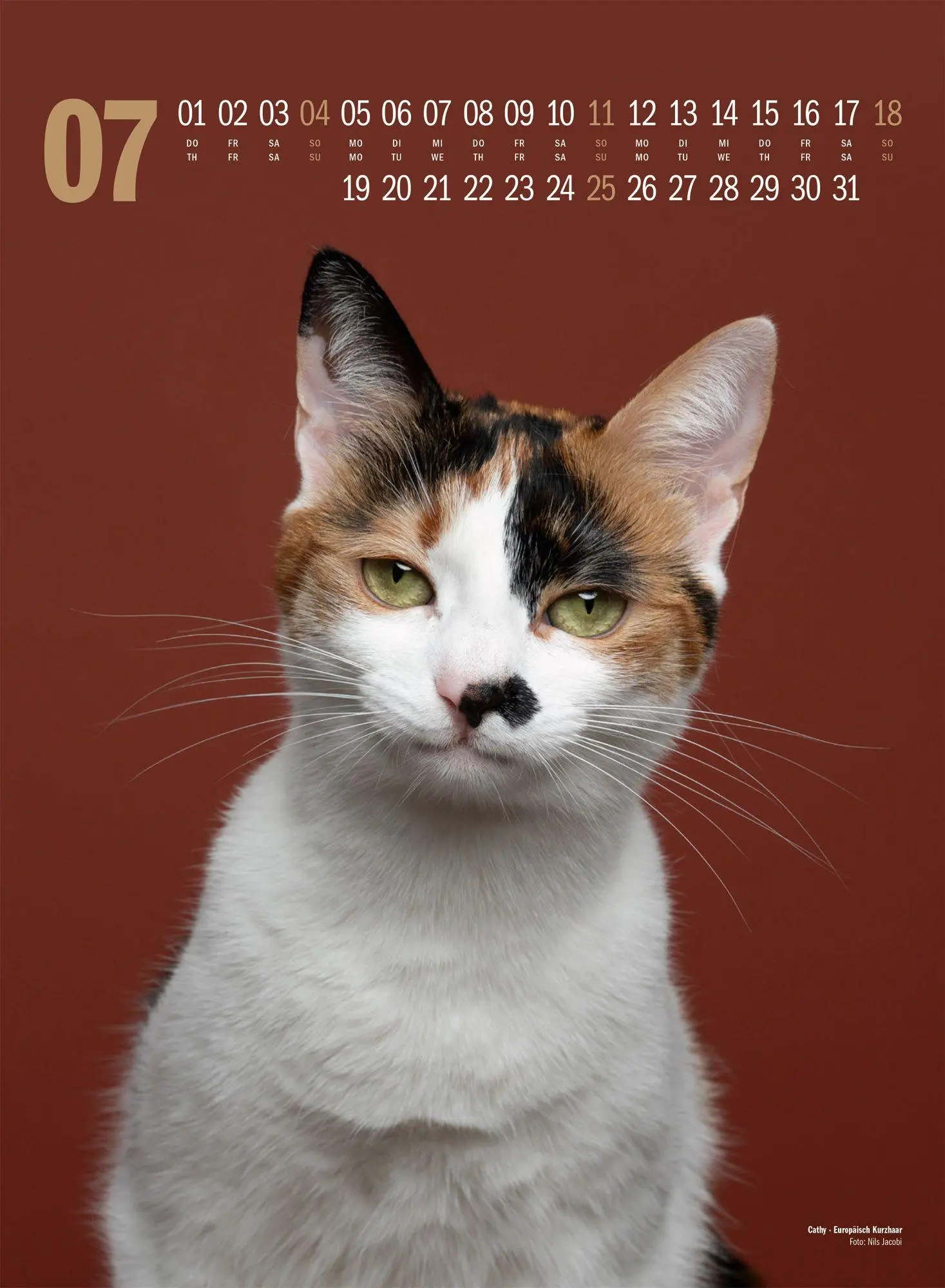 Bild: 9783838427881 | Catography Katzen-Kalender 2027 | Nils Jacobi (u. a.) | Kalender