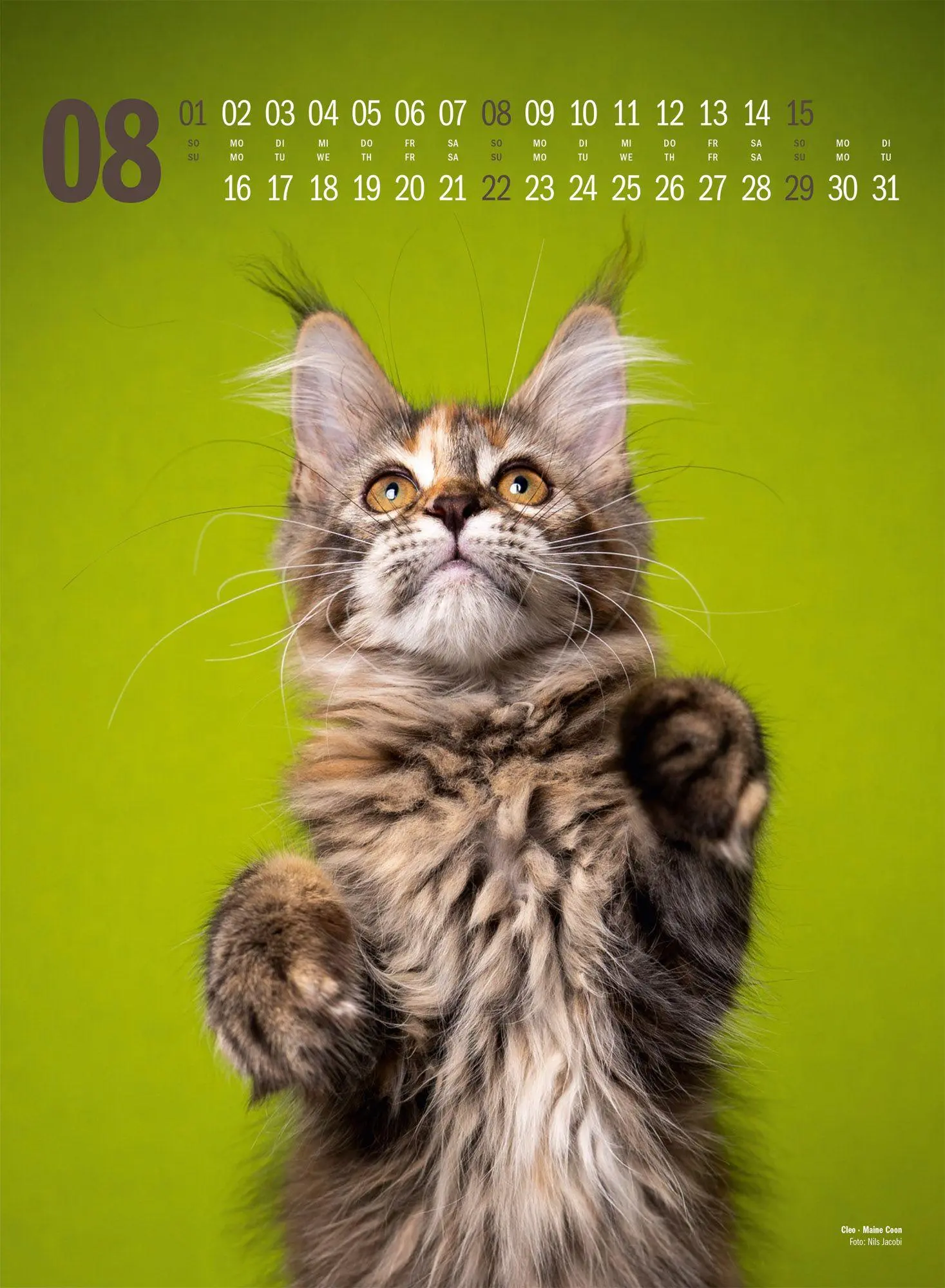 Bild: 9783838427881 | Catography Katzen-Kalender 2027 | Nils Jacobi (u. a.) | Kalender