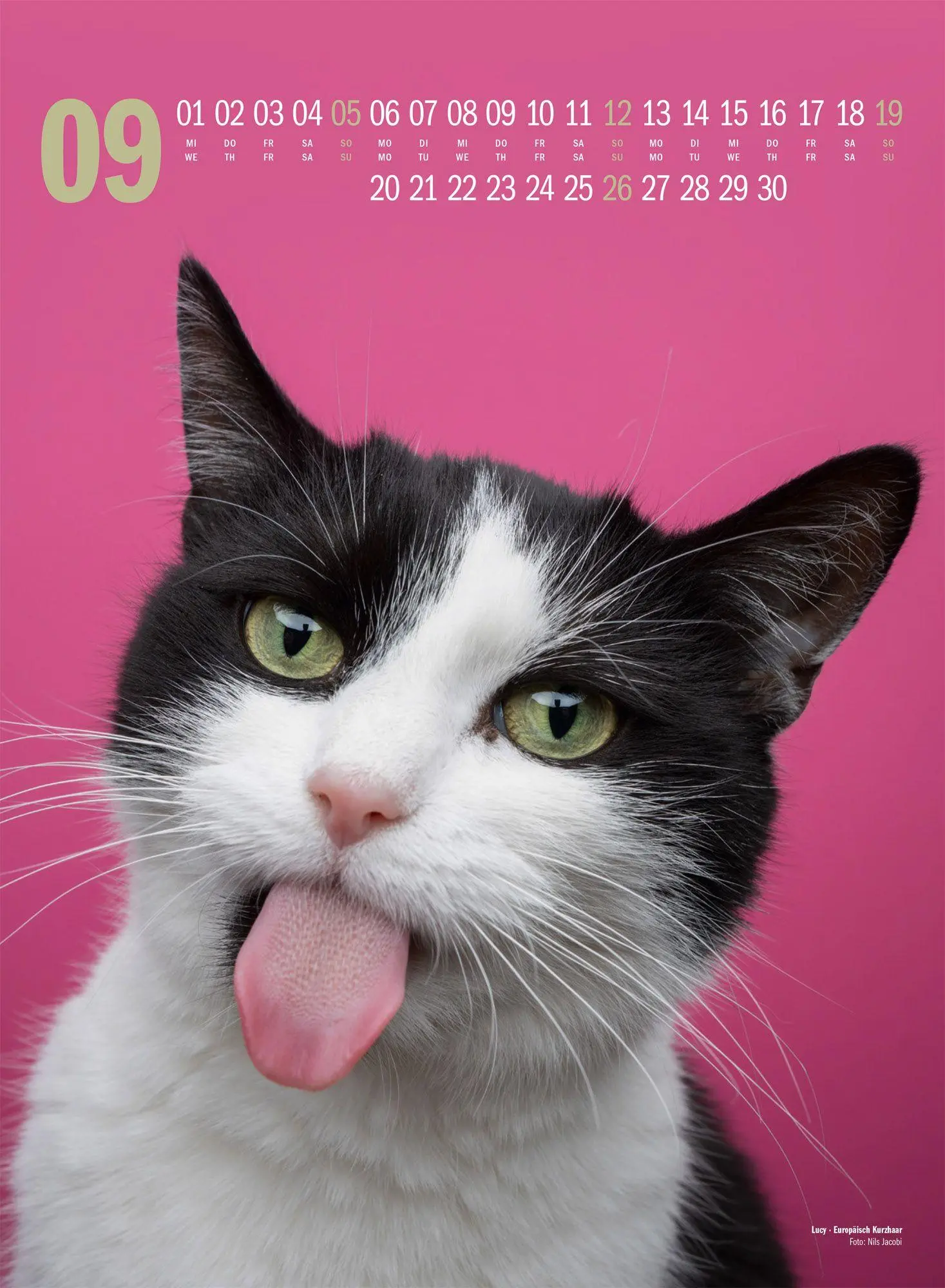 Bild: 9783838427881 | Catography Katzen-Kalender 2027 | Nils Jacobi (u. a.) | Kalender