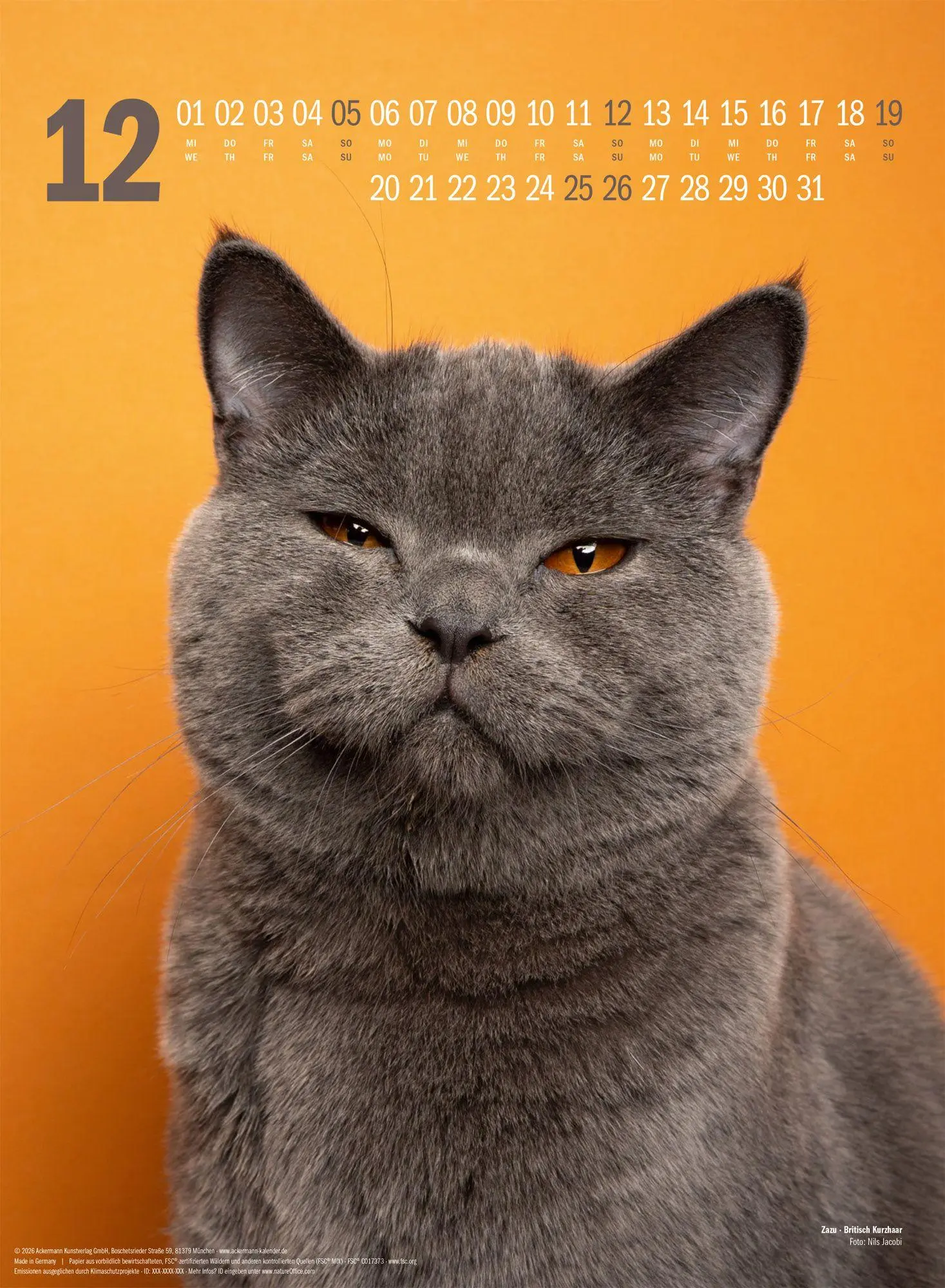 Bild: 9783838427881 | Catography Katzen-Kalender 2027 | Nils Jacobi (u. a.) | Kalender