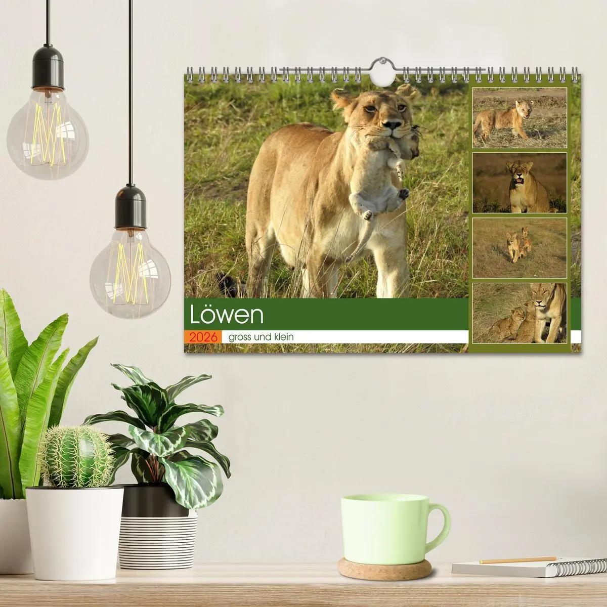 Bild: 9783457538081 | Löwen - gross und klein (Wandkalender 2026 DIN A4 quer), CALVENDO...